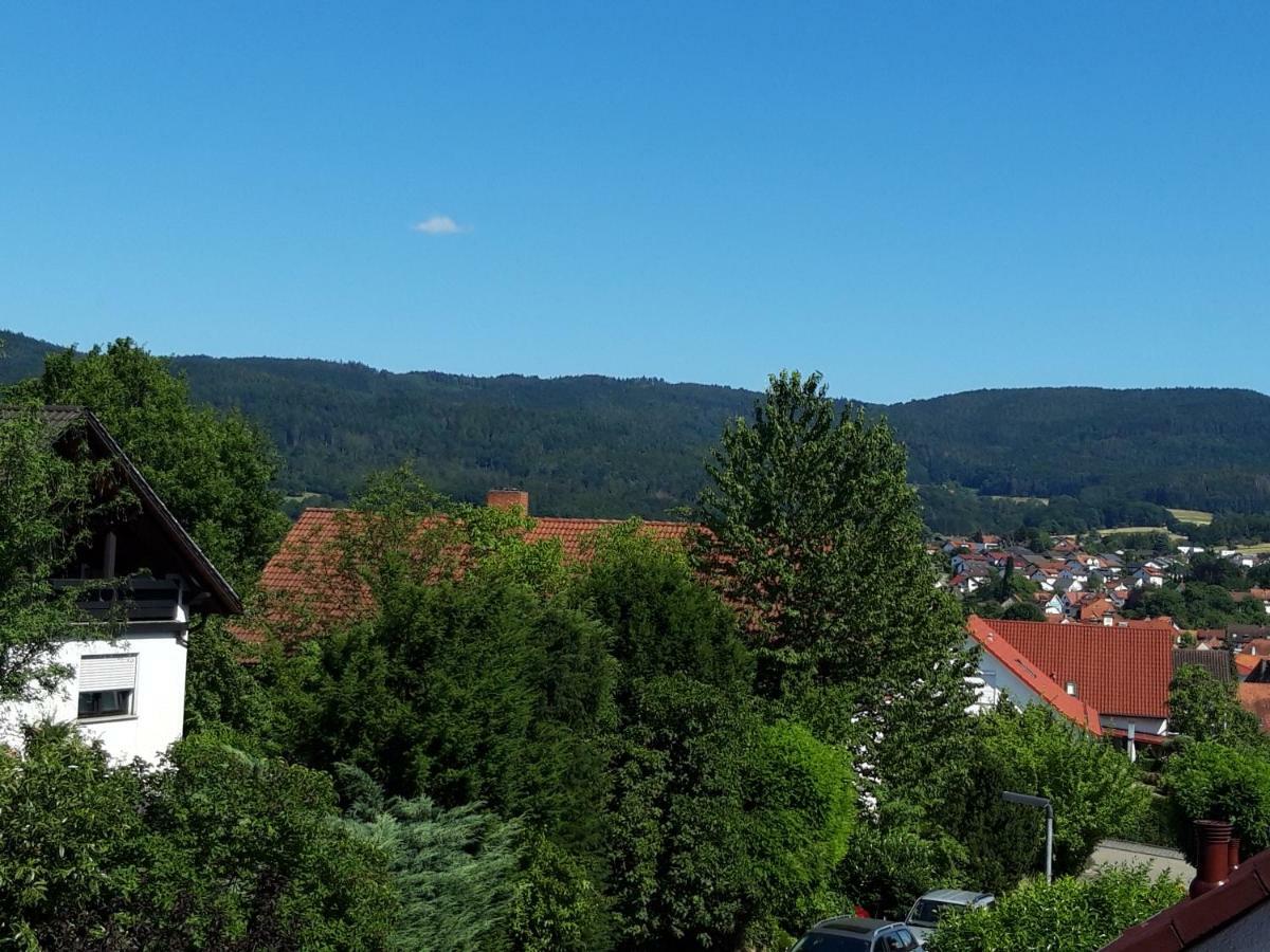 Ferienwohnung Trommblick - Natur Pur - Rimbach Im Odenwald Экстерьер фото